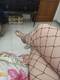 Fishnet Stockings