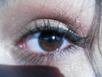 Esistono molte cose nella vita che catturano lo sguardo, ma solo poche catturano il tuo cuore: segui quelle. (Winston Churchill)