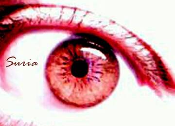 Public Photo of suria